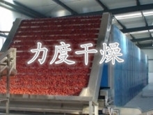 红枣带式干燥机