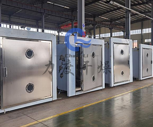 石斛浸膏低温脉冲真空干燥机