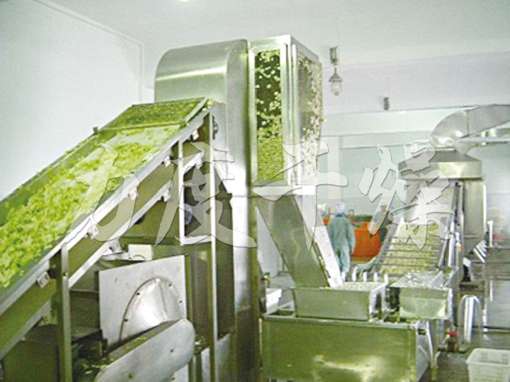 DWC系列脱水蔬菜带式干燥机